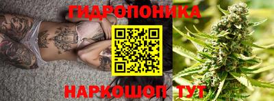 прущие крисы Будённовск