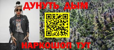 прущие крисы Будённовск