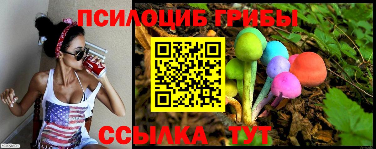 Галлюциногенные грибы прущие грибы  Галлюциногенные грибы Psilocybine cubensis  Искитим  Вход с VPN 